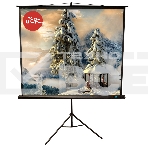 Экран Sakura 200x200 см TriScreen 1:1 напольный рулонный белый 111' Matt White (MW), черный корпус, фото 1