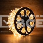 Гирлянда «LED Клип-лайт» 12 V, прозрачный ПВХ, 150 мм, цвет диодов теплый белый, фото 1