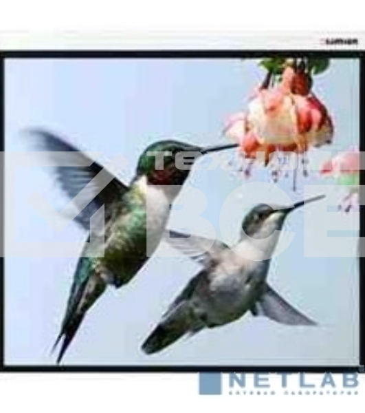 Экран Lumien 305x406см Master Control LMC-100112 4:3 настенно-потолочный рулонный (моторизованный привод)