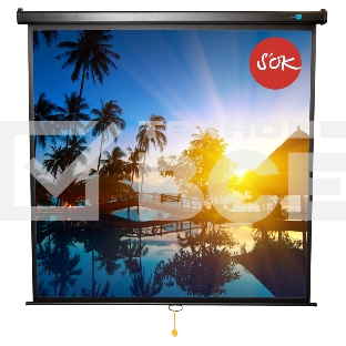 Экран Sakura 150x150см Wallscreen 1:1 настенно-потолочный рулонный белый  84' Matt White (MW), черный корпус