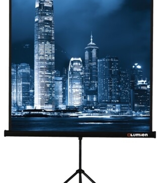 Экран на штативе Lumien Master View 244x244 см Matte White FiberGlass (LMV-100105)