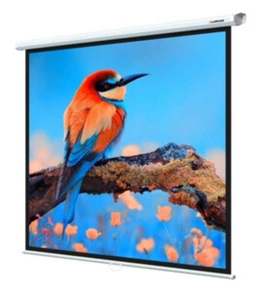 Экран Lumien 153x153см Eco Picture LEP-100107 1:1 настенно-потолочный рулонный