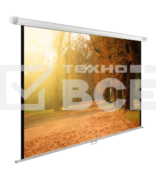 Экран Cactus 125x200см WallExpert CS-PSWE-200x125-WT 16:10 настенно-потолочный рулонный