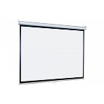 Экран Lumien 153x153см Eco Picture LEP-100107 1:1 настенно-потолочный рулонный, фото4
