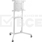 Стойка для телевизора Cactus CS-ST1146WT белый 37