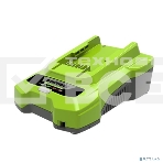Сетевое зарядное устройство Greenworks 24В 4А, фото 1