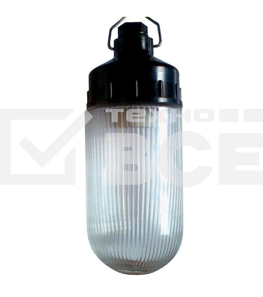 Светильник ЭЛЕТЕХ НСП 02-100-001 'Желудь Ф' IP65 корпус карболит