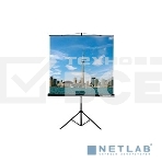Экран на треноге Lumien 200x200см Eco View LEV-100103 1:1 напольный рулонный, фото2