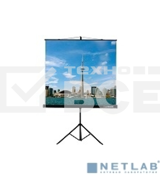 Экран на треноге Lumien 200x200см Eco View LEV-100103 1:1 напольный рулонный