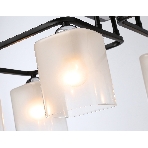 Светильник Ambrella light TR303224/6 BK/CH/FR черный/хром/белый матовый E27*6 max 60W 615*390*220, фото5