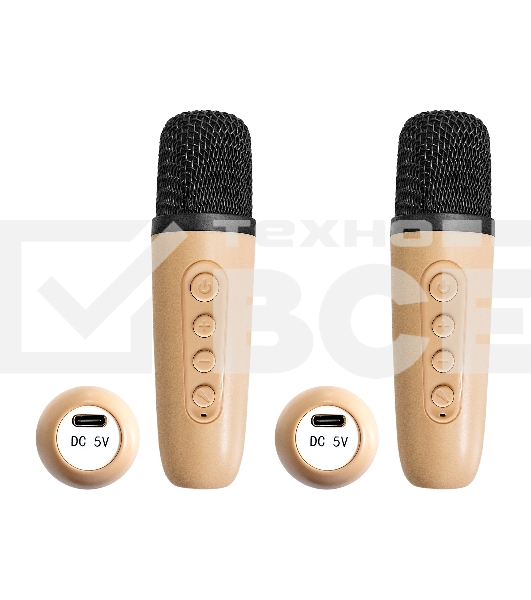 Караоке-система ExeGate Bro 330  Bluetooth 8 Вт бежевый
