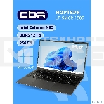 Ноутбук CBR LP-SMCR-1506 15.6' FHD IPS (Intel Celeron N95/12Gb LPDDR5/256Gb M.2 SSD/Intel UHD Graphics/RJ45/W11 Pro/4800mAh/пластик), фото4