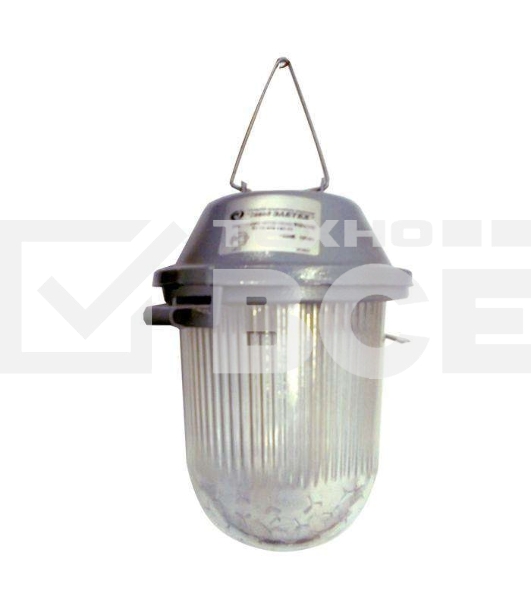 Светильник ЭЛЕТЕХ НСП 02-100-001 'Желудь А' IP52 корпус серый