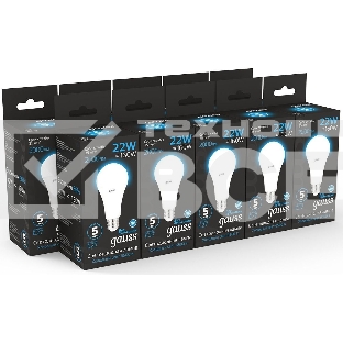 Лампа cветодиодная A70 22W 1640lm 6500K E27 LED