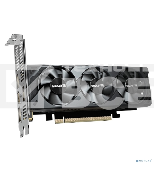 Видеокарта Gigabyte PCI-E 5.0 GV-N5060OC-8GL 1.0 NVIDIA GeForce RTX 5060 8Gb 128bit GDDR7 2512/28000 HDMIx1 DPx3 HDCP Ret low profile