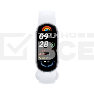 Фитнес трекер Xiaomi Smart Band 9 Glacier серебристый / серебристый