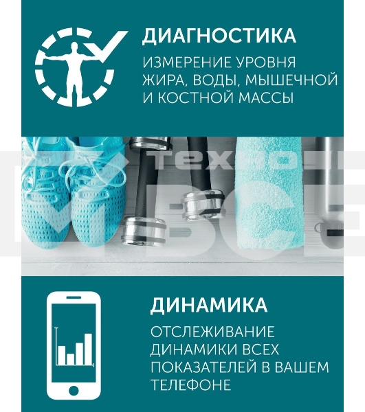 Весы Scarlett SC-BS33ED46 (черный)