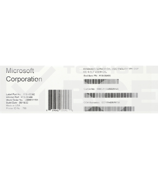 ПО Microsoft Windows Server CAL 2022 English 1pk DSP OEI 5 Clt User CAL (R18-06466)