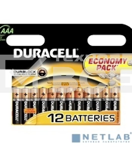 Батарейка Duracell LR03-12BL BASIC AAA (12 шт. в уп-ке)