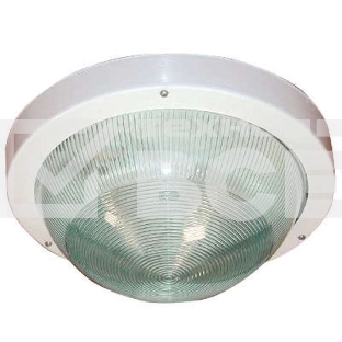 Светильник ЭЛЕТЕХ НПП 03-100-001 'Селена 1' 1х100Вт E27 IP65 корпус бел.