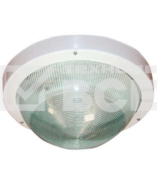 Светильник ЭЛЕТЕХ НПП 03-100-001 'Селена 1' 1х100Вт E27 IP65 корпус бел.