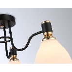 Светильник Ambrella light TR303303/3 BK/GD/FR черный/золото/белый матовый E27*3 max 60W D600*270, фото5