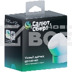Умный датчик движения СБЕР/SBER (SBDV-00029) , фото15
