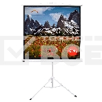 Экран 150x150см TriScreen 1:1 напольный рулонный белый84' Matt White (MW), черный корпус, фото9