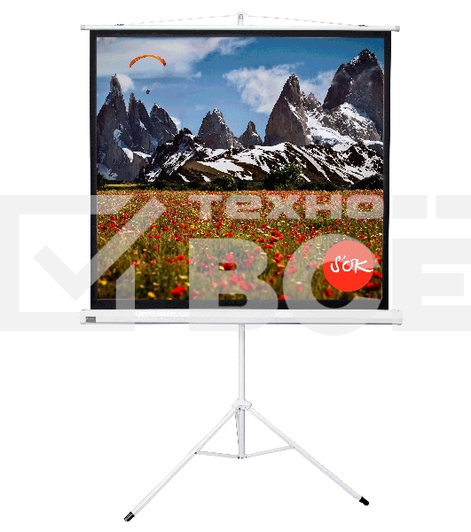 Экран 150x150см TriScreen 1:1 напольный рулонный белый84' Matt White (MW), черный корпус