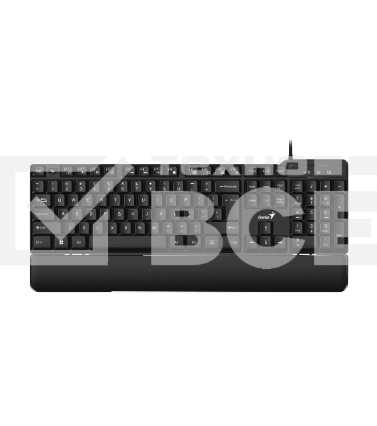 Клавиатура Genius keyboard KB-100XP проводная, USB, чёрный