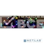 Новогодние светоукрашения NEON-NIGHT (303-029) Гирлянда 