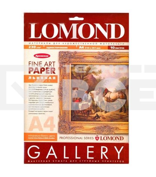 Холст Lomond Pigm Canvas P А4 10л 