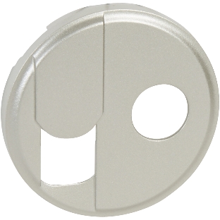 Розетка телевизионная Лицевая панель RJ+TV титан