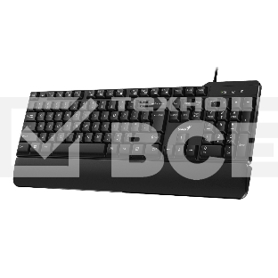 Клавиатура Genius keyboard KB-100XP проводная, USB, чёрный