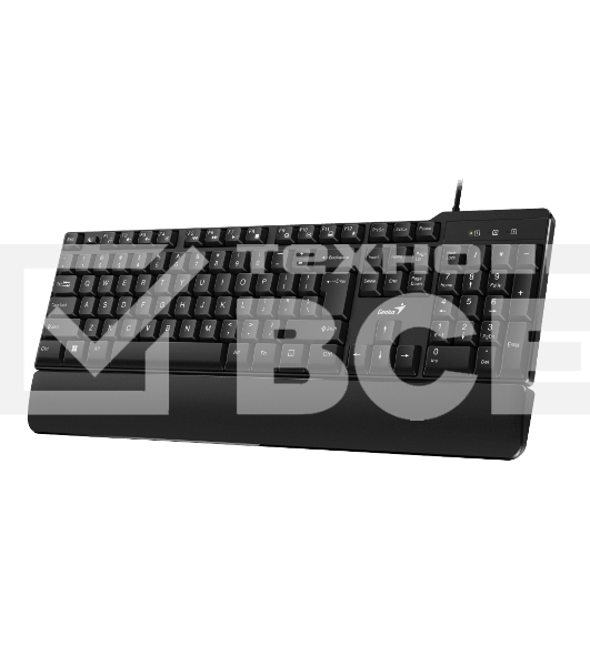 Клавиатура Genius keyboard KB-100XP проводная, USB, чёрный