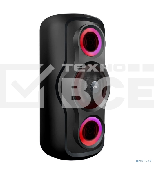 Акустическая система Ginzzu GM-233, Midi, BT/USB/TF/FM/MIC/ДУ