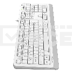 Клавиатура A4Tech Fstyler FKS10 проводная, USB, белый/серый, фото3