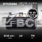 Портативная колонка Hyundai H-PS1025 черный 40W 2.0 BT 10м 3000mAh, фото19