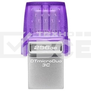 Флеш диск Kingston USB3.2 256GB DTDUO3CG3/256GB