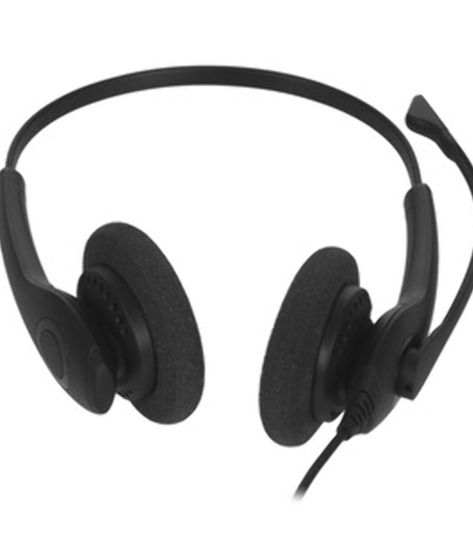Проводные наушники Jabra BIZ 1500 черный, накладные, USB