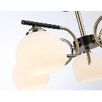 Светильник Ambrella light TR303312/5 BK/SB/FR черный/бронза/белый матовый E27*5 max 60W D560*250, фото6