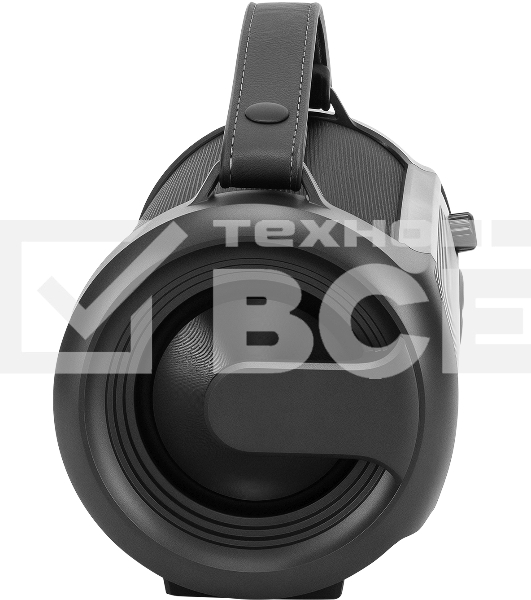 Портативная колонка Hyundai H-PS1025 черный 40W 2.0 BT 10м 3000mAh