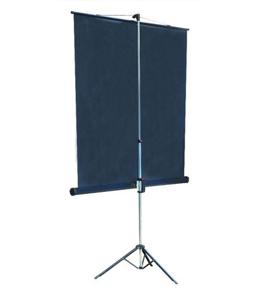 Экран на штативе Lumien Master View 127x127 см Matte White FiberGlass (LMV-100101)