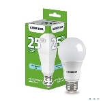 Лампа светодиодная A65 25Вт грушевидная 6500К E27 230В GENERICA LL-A65-25-230-65-E27-G, фото 1