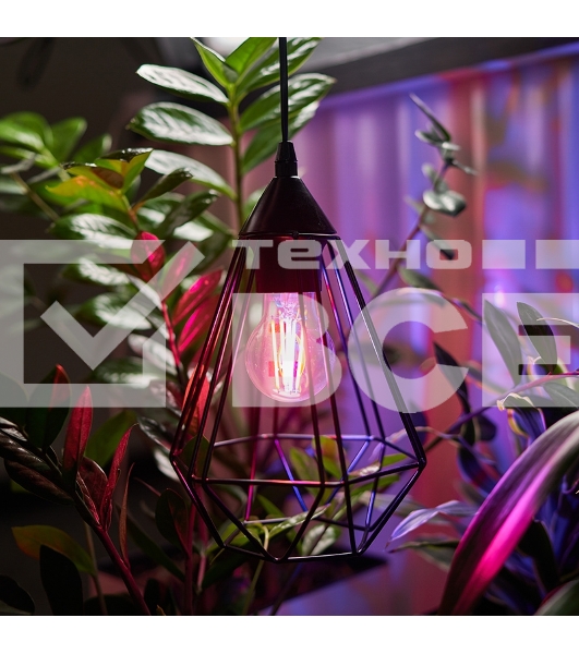 Фитолампа филаментная для растений Rexant Груша A60 11.5 Вт 1150 Лм 0.25% Blue 440-470Nm 0.75% Red 630-670NmK E27 прозрачная колба