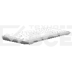 Клавиатура проводная A4Tech Fstyler FKS11, USB, белый/серый, фото11