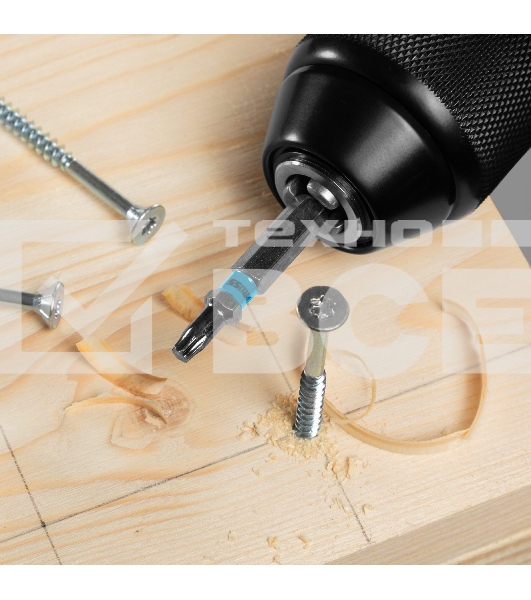 Набор бит TORX 15х50, сталь S2, 10 шт. Gross