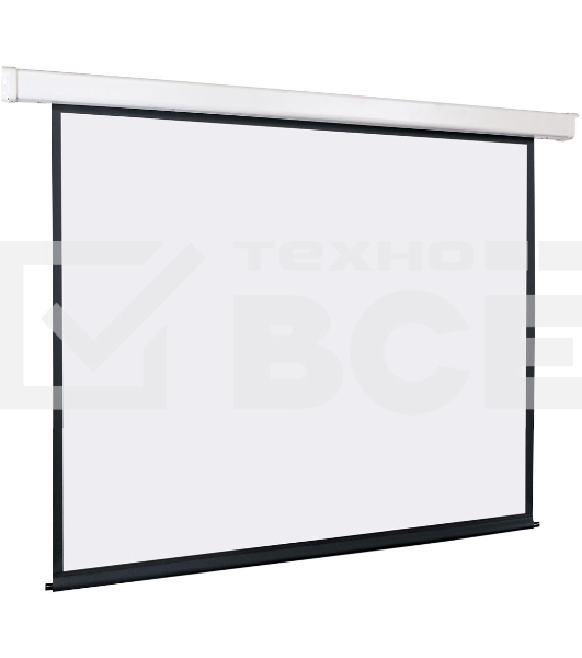 Экран с электроприводом Lumien Eco Control 229x305 см (раб. область 221х297 см) Matte White черная кайма по периметру 4:3