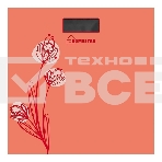 Весы напольные электронные Homestar HS-6001A, фото 1