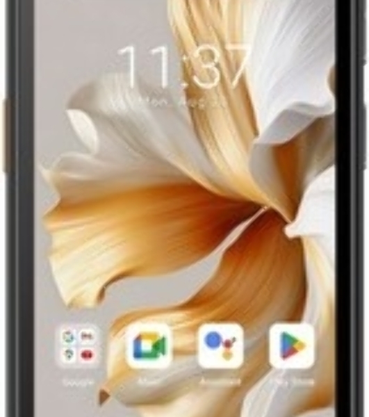 Смартфон Blackview BV4800 Pro, 4/128Gb, зеленый
